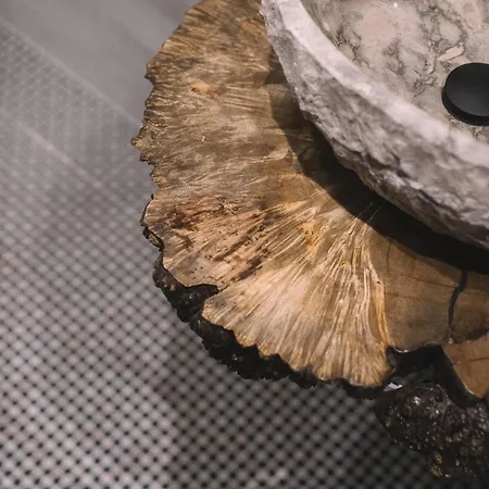 Photographer Rudolf's - Ground Floor With Separate Entrance *